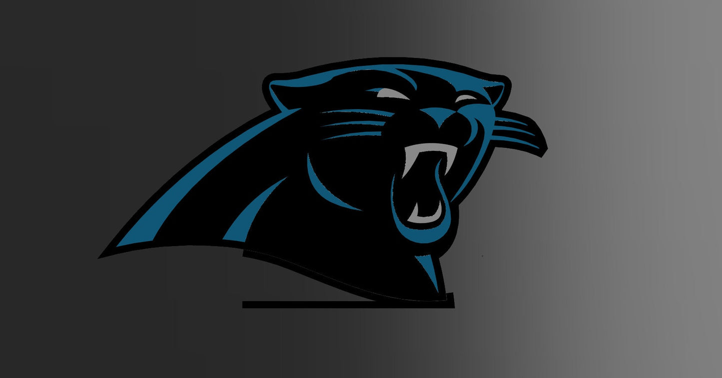 Carolina Panthers Lightbox