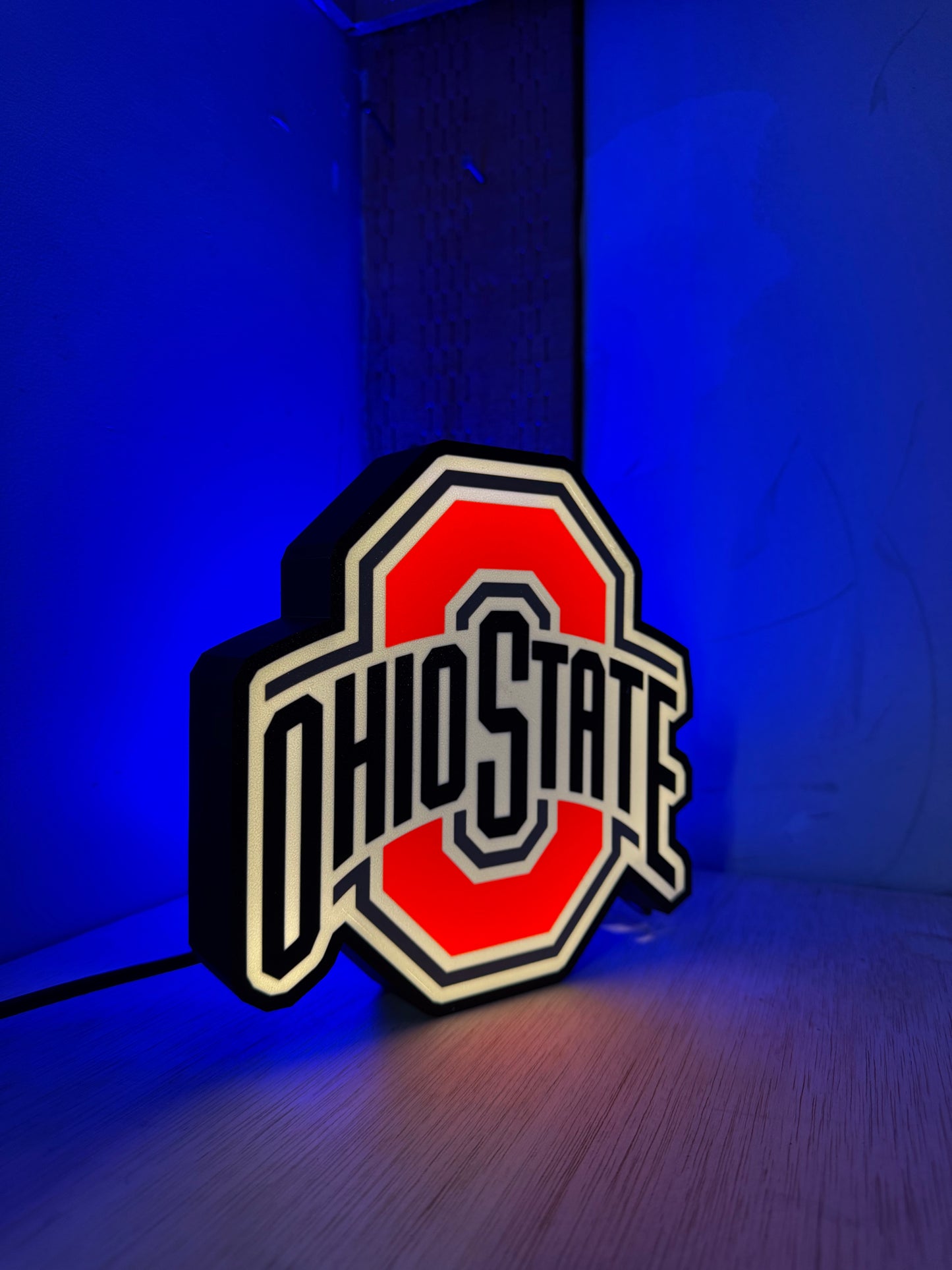 Ohio State Buckeyes inspired LED LightBox Sign / Lamp