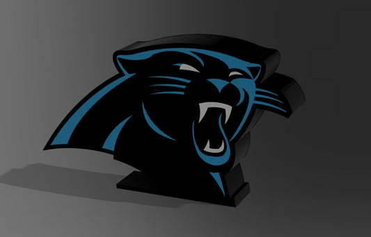 Carolina Panthers Lightbox