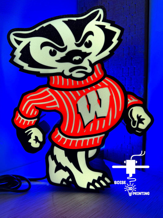 a picture of a raccoon wearing a sweater